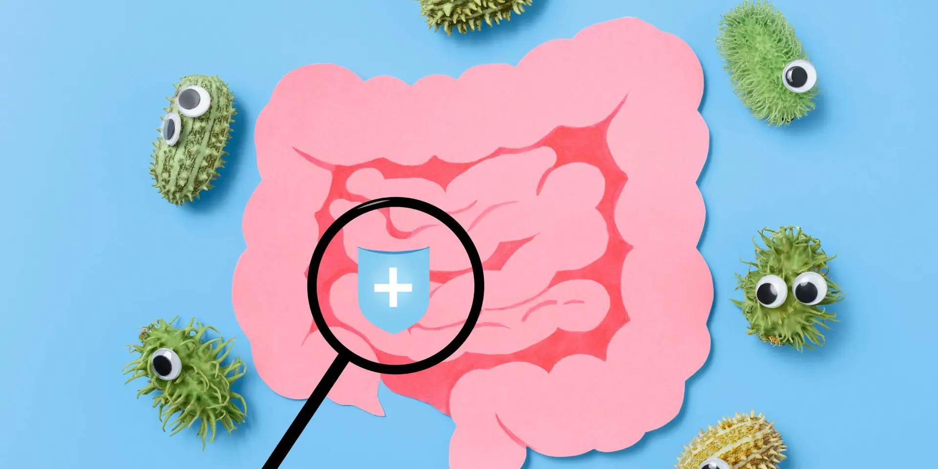 Gut Health and Fat Storage: What’s the Connection?